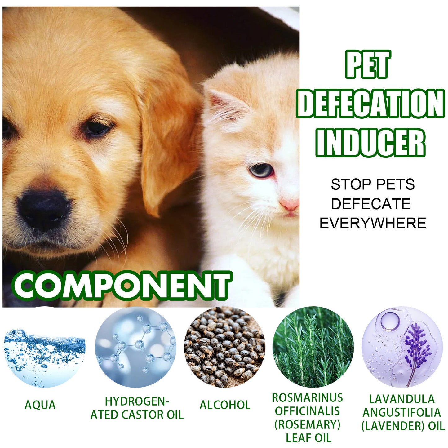 Yegbong Pet Positioning Toilet Inducer Pet Toilet Positioning Toilet Trainer