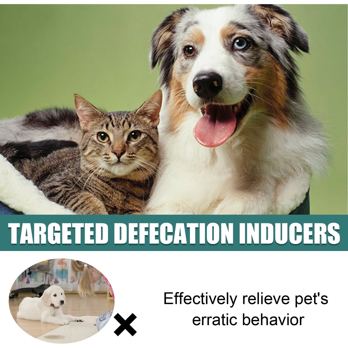 Yegbong Pet Positioning Toilet Inducer Pet Toilet Positioning Toilet Trainer